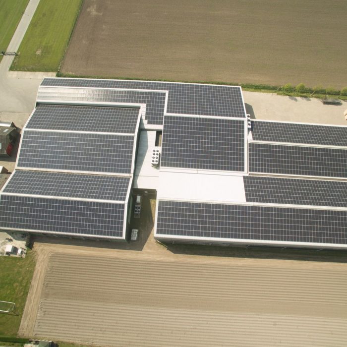 PakDeZon installeert 3202 panelen Boviet 300Wp percium bij Witlofkwekerij Spruit in Nibbixwoud