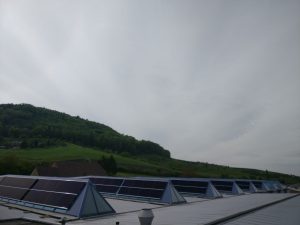 Suncrest in Zwitserland installeert 192 zonnepanelen op een hondenvoerfabriek 1