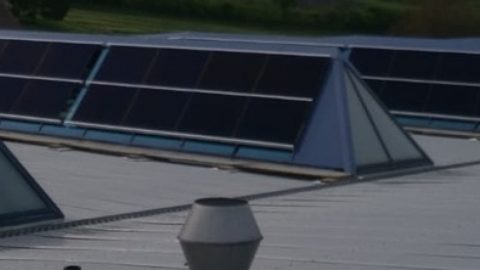 Suncrest in Zwitserland installeert 192 zonnepanelen op een hondenvoerfabriek