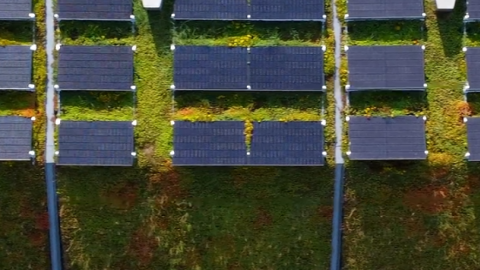 Dubbel duurzaam: zonnepanelen op sedum dak 1
