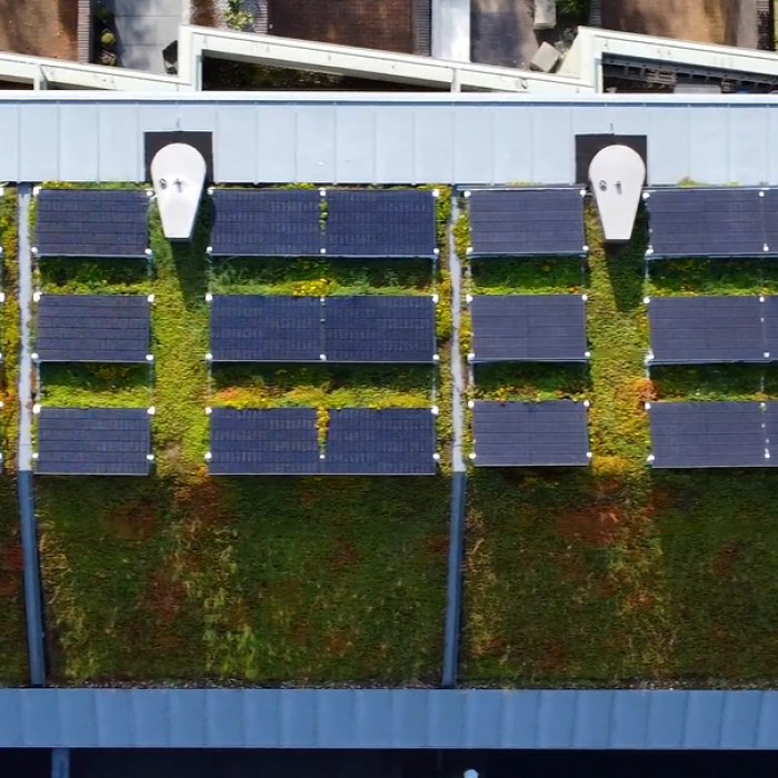 Dubbel duurzaam: zonnepanelen op sedum dak 1