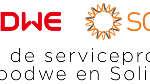 Hoe werken de serviceprocessen voor omvormers van Goodwe en Solis? 2