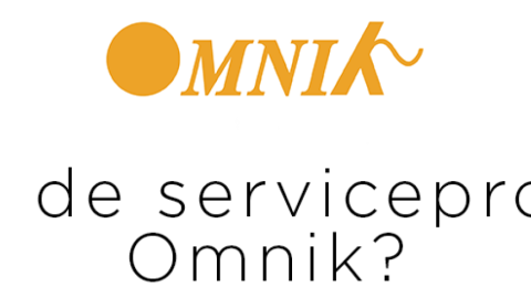Hoe werken de serviceprocessen voor omvormers van Goodwe en Solis?